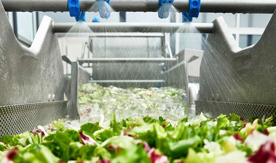 E-Mag Industrielle Freshcut-Verarbeitung